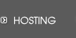 Website Hosting